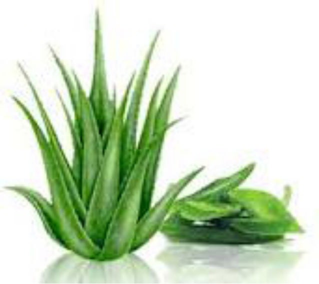 Forever Living Aloe Vera Products Online