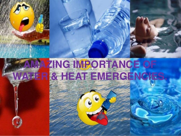 the importance of water 2 essay The importance of water in plants and in crop agriculture emphasis is on the general roles of water as a climatic factor. the importance of water 2 essay The importance of water in plants and in crop agriculture emphasis is on the general roles of water as a climatic factor.