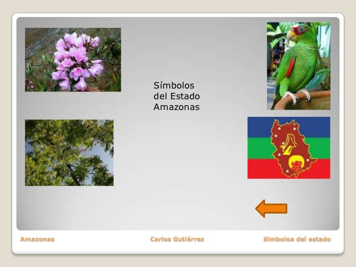 simbolos naturales de brasil amazonas simbolos naturales de brasil amazonas