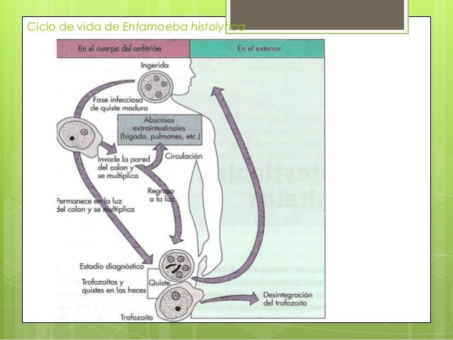Amebiasis