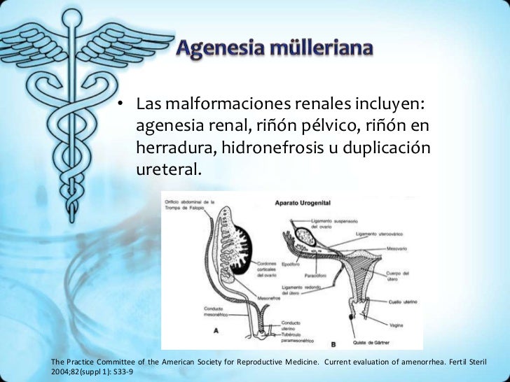 viagra function viagra function