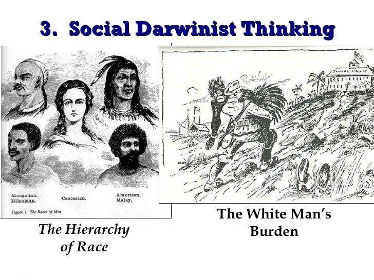 a history of social darwinism in america And i think what was animating people like spencer and other social darwinists behind the idea of social darwinism see this a lot in history. a history of social darwinism in america And i think what was animating people like spencer and other social darwinists behind the idea of social darwinism see this a lot in history.