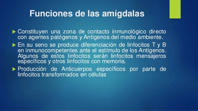 Amigdalas