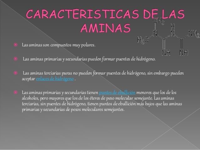 Aminas