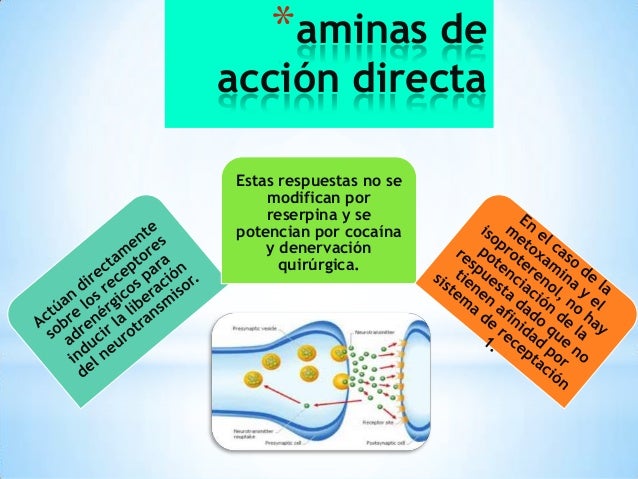 Aminas simpaticomimeticas