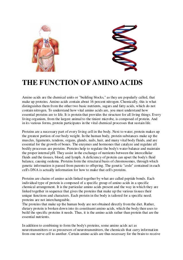 Amino Acid Functions