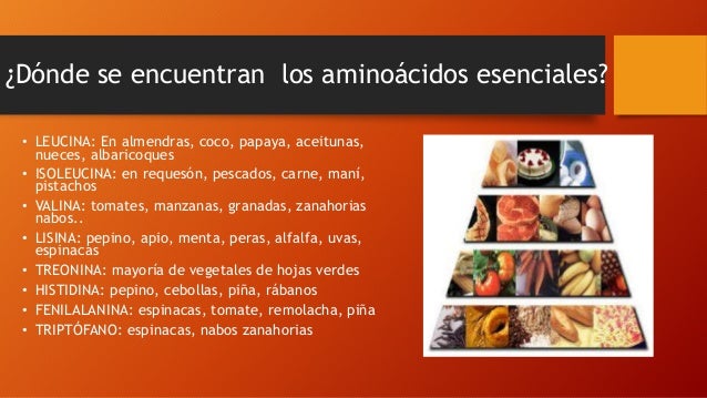 Aminoacidos