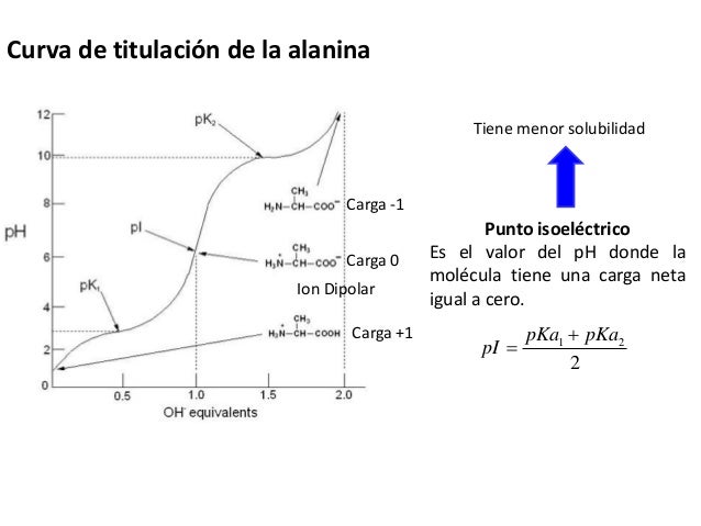 Aminoacidos y proteinas