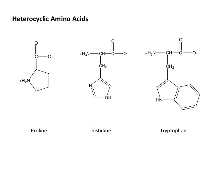 Amino acids