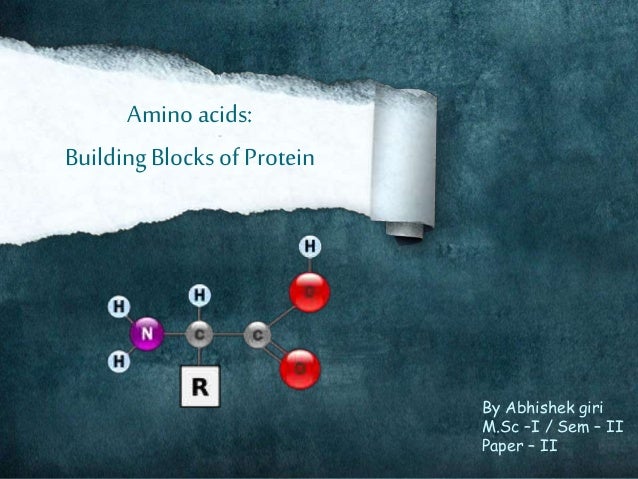 amino acids are the building blocks of