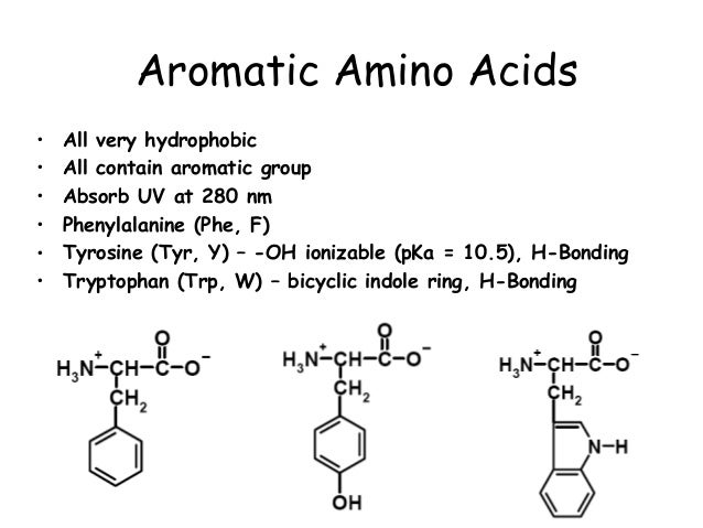 Aromatic Amino Acids SpringerLink