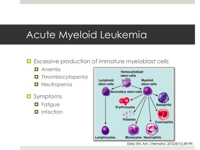Aml leukemia prognosis in adults