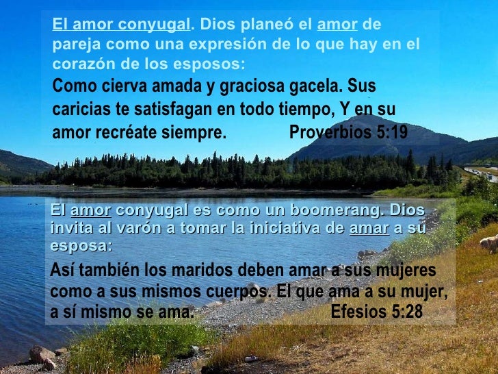 feliz cumpleaños dios te bendiga y te guarde mensaje cumpleaños amiga distancia