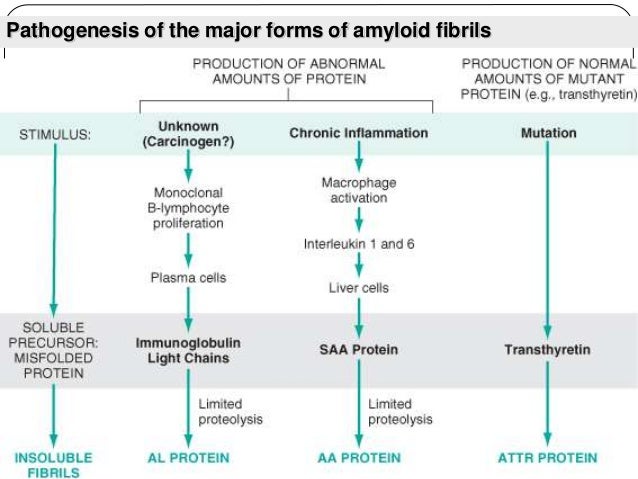 Amyloidosis