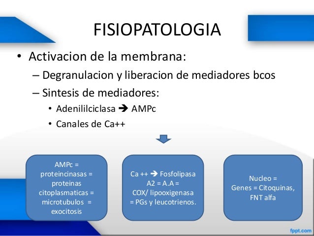 Anafilaxia version final