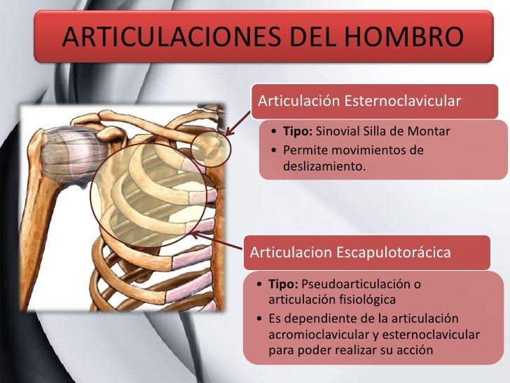 Analisis de Movimiento Flexion de hombro