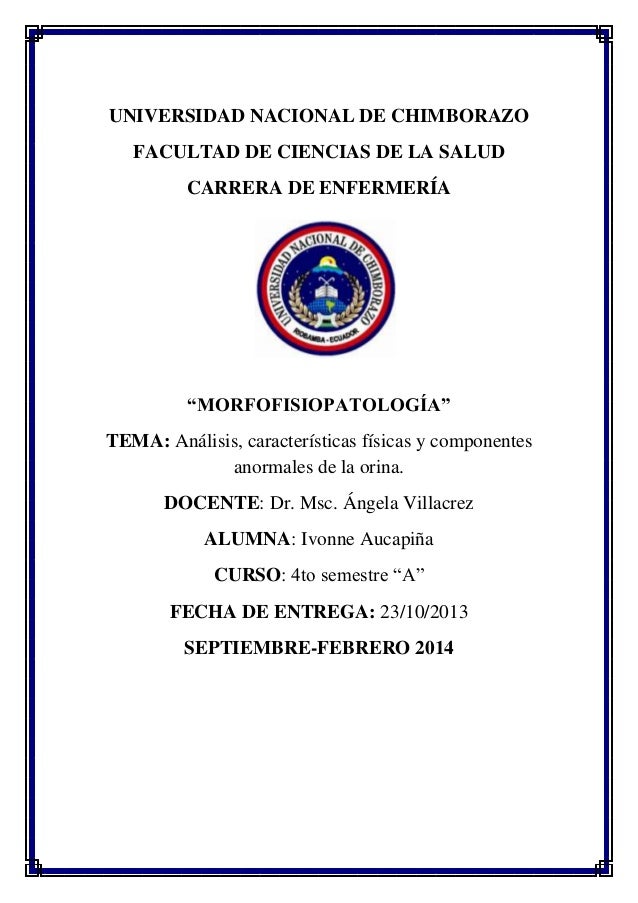 Analisis de orina Analisis de orina