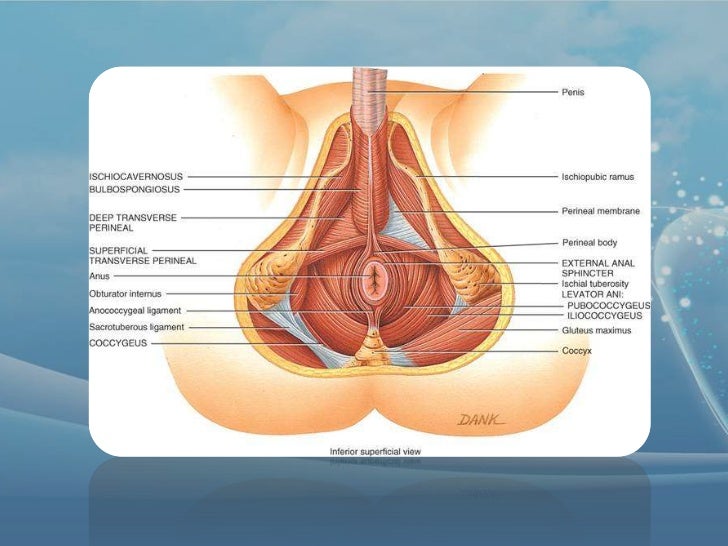 Risposte su trattamento di varicosity da metodi nazionali