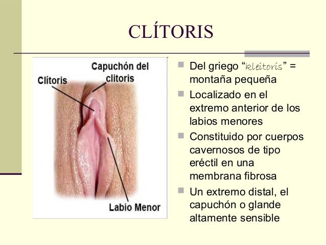 La receta de la máscara para la depuración de la piel sobre la persona