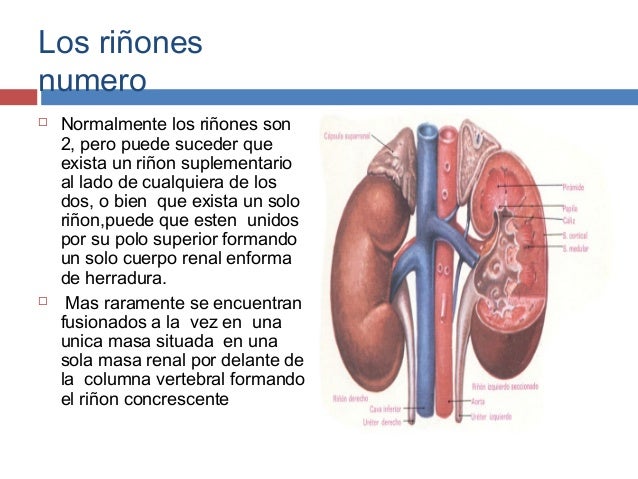 El tratamiento de la osteocondrosis aguda medicamentoso