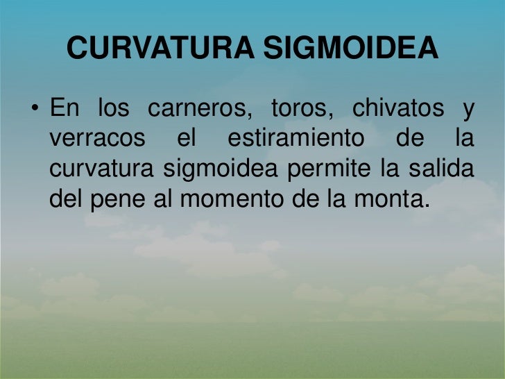 Como aumentar en la longitud y de la anchura el miembro