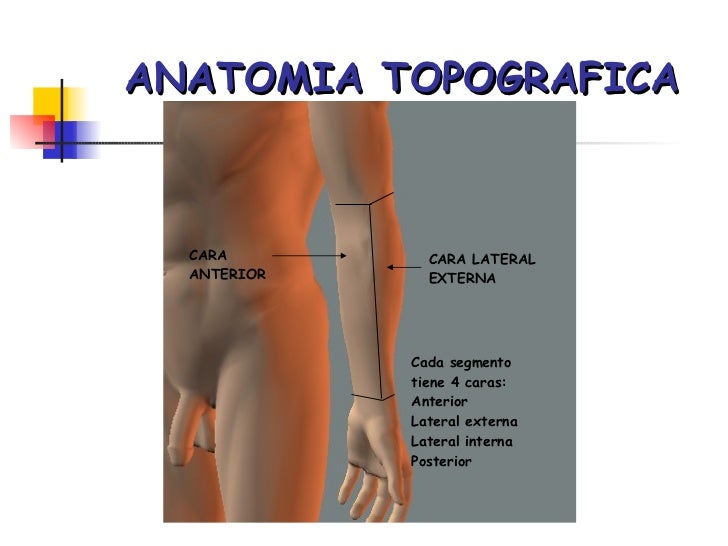 Anatomia Topografica Forense Aplicada a la Medicina Legal