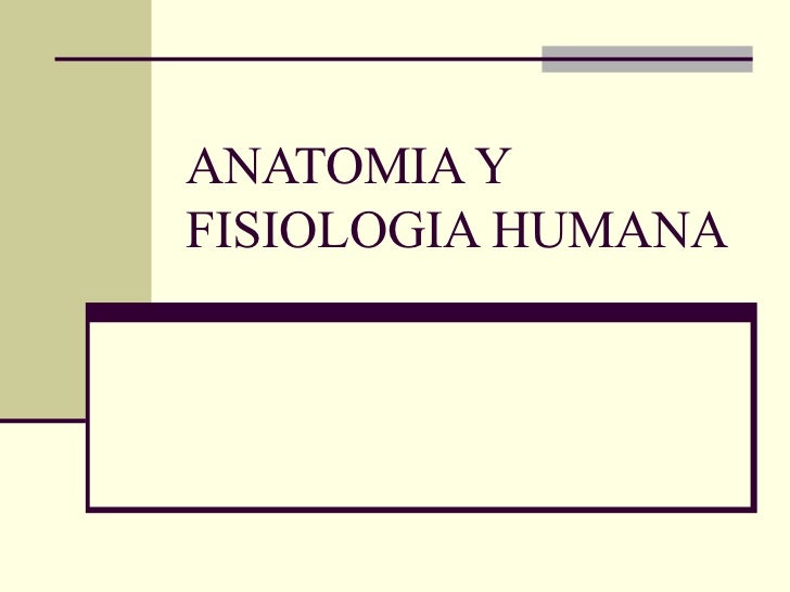 Anatomia Y Fisiologia Humana 1208539518296619 9