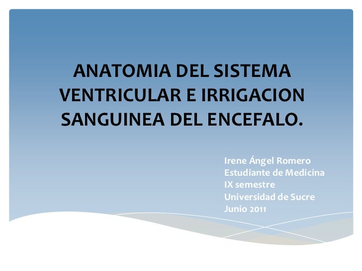 IRRIGACION ANATOMIA irrigacion anatomia: