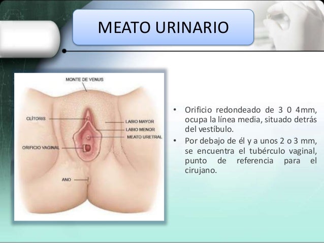 La máscara para la persona de la miel el masaje