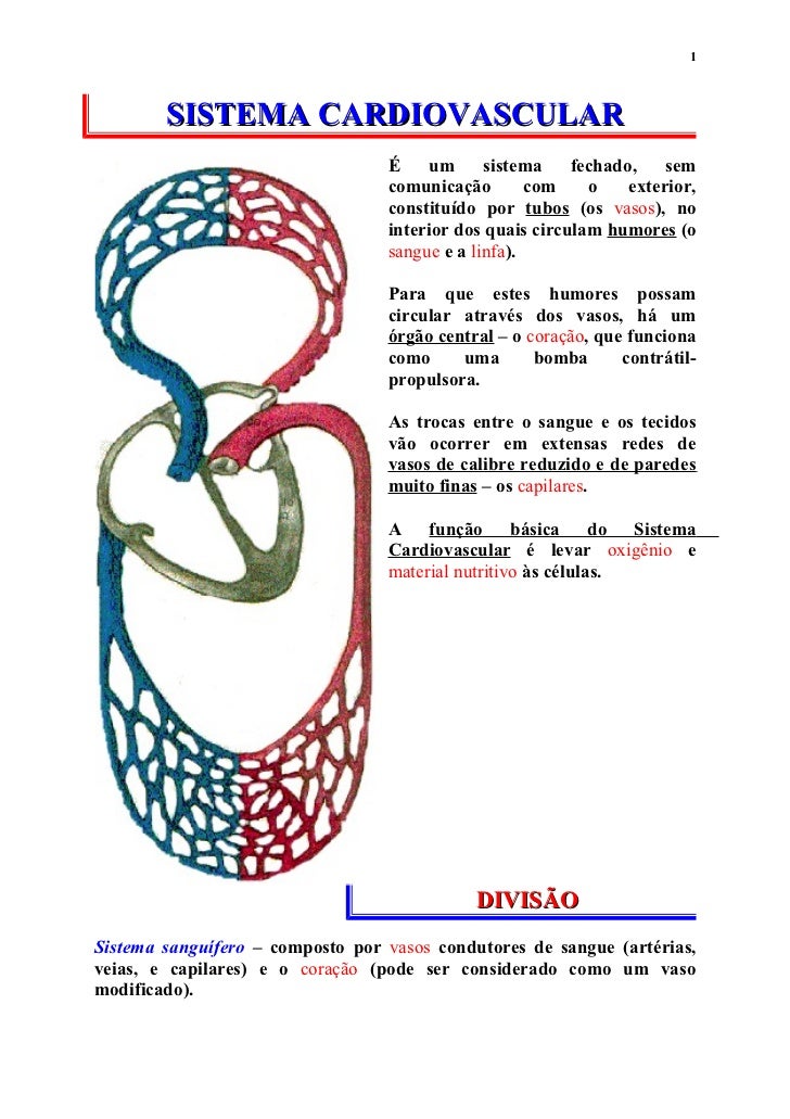 sistema cardio