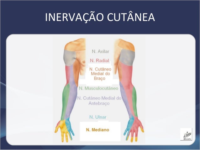 Todo o membro ficou coberto por pequenos lugares do calor vermelhos
