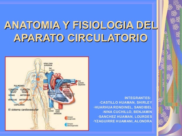 FISIOLOGIA APARATO CIRCULATORIO fisiologia aparato circulatorio: