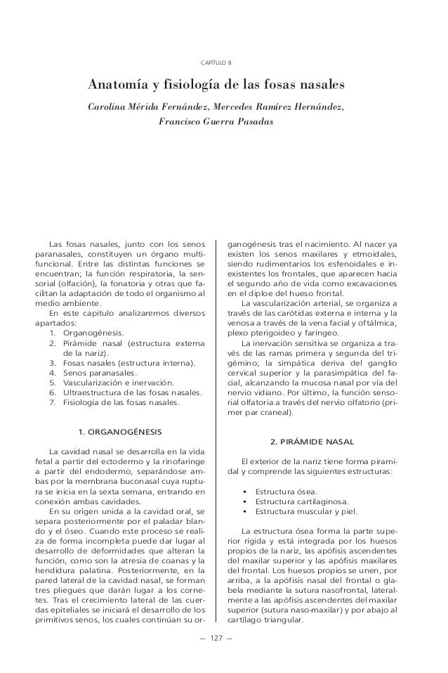 FUNCIONES DE LAS FOSAS NASALES funciones de las fosas nasales: