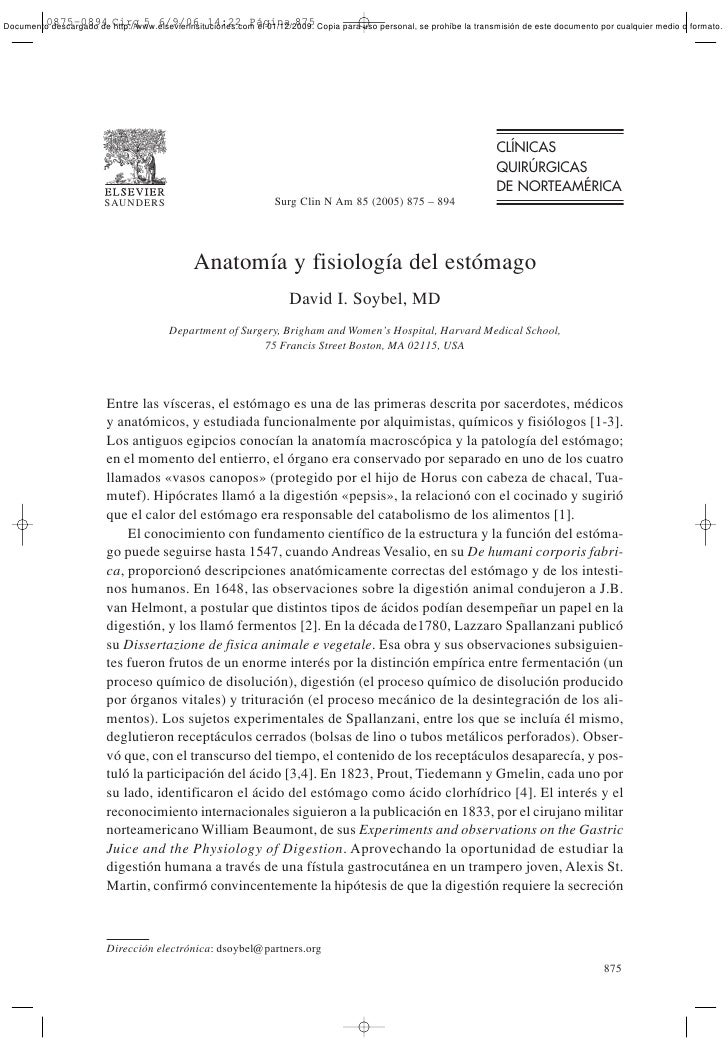 FISIOLOGIA ANATOMIA ESTOMAGO fisiologia anatomia estomago: