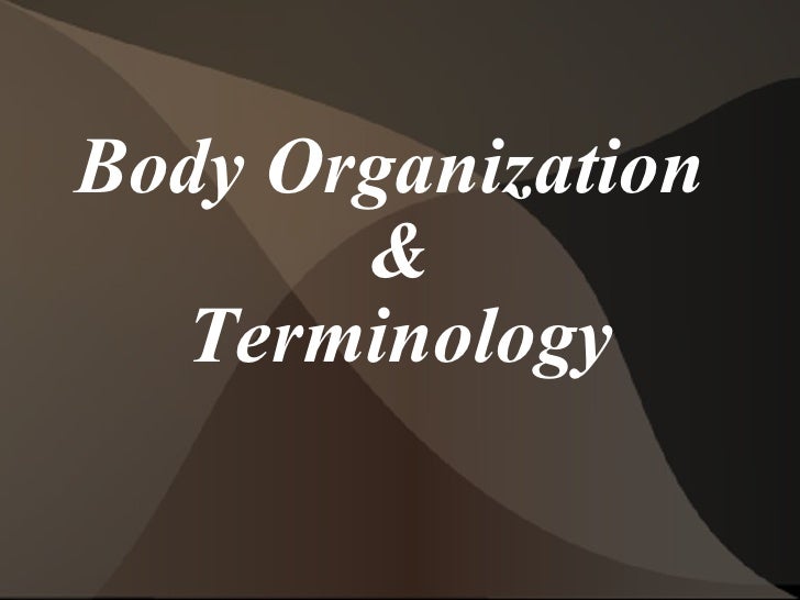 Anatomical terminology