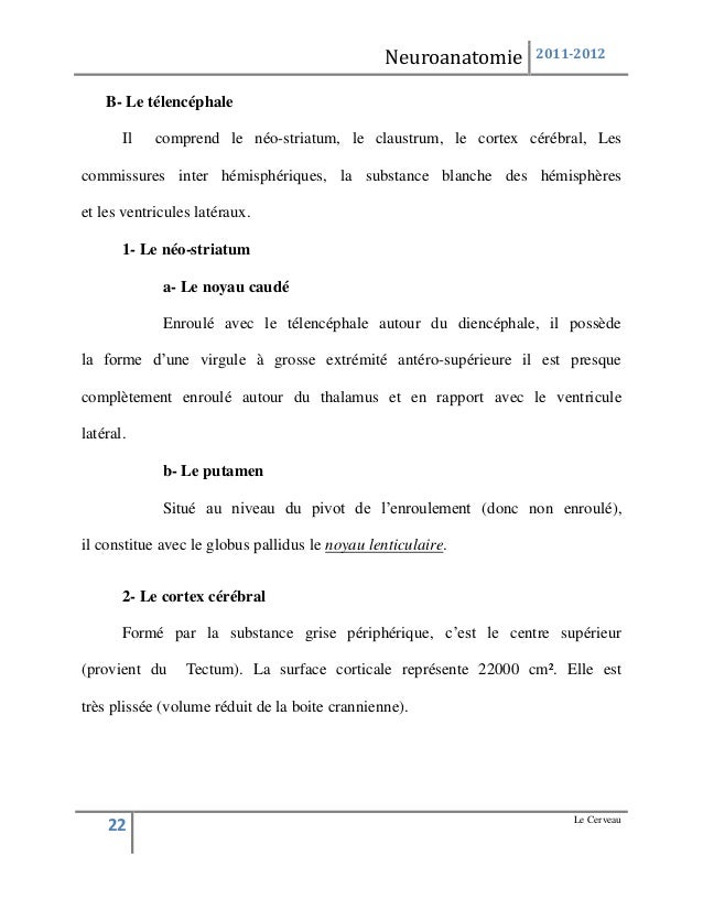 most cancers du foie ou du pancreas