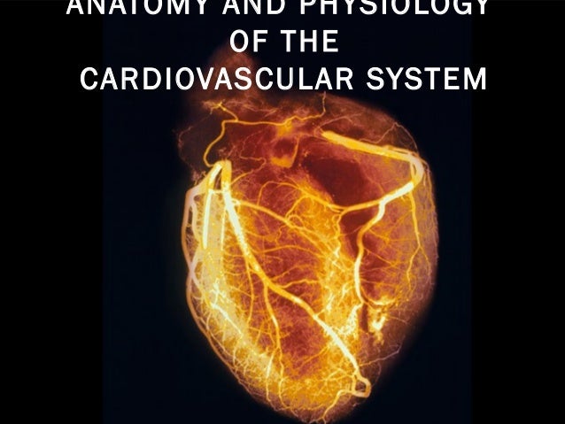 Anatomy and-physiology-of-the-cardiovascular-system-medical-surgical-…