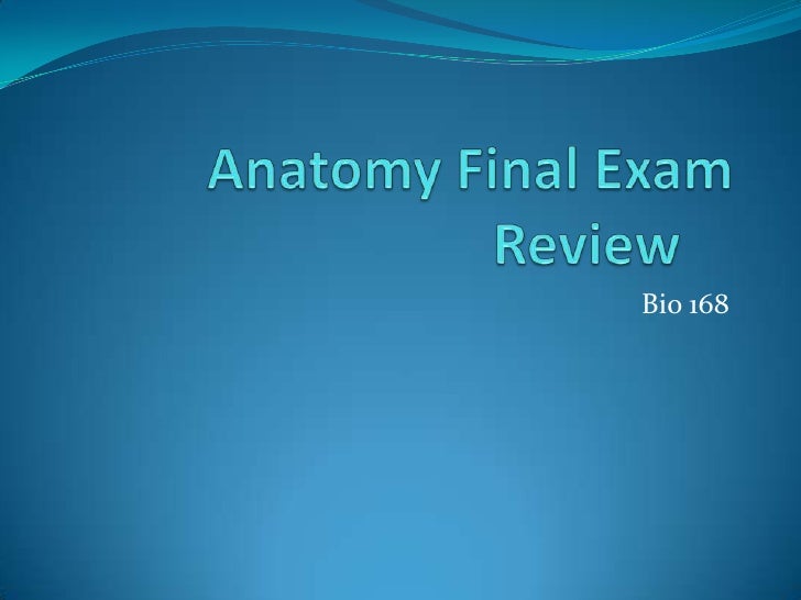 Anatomy Final Exam Review