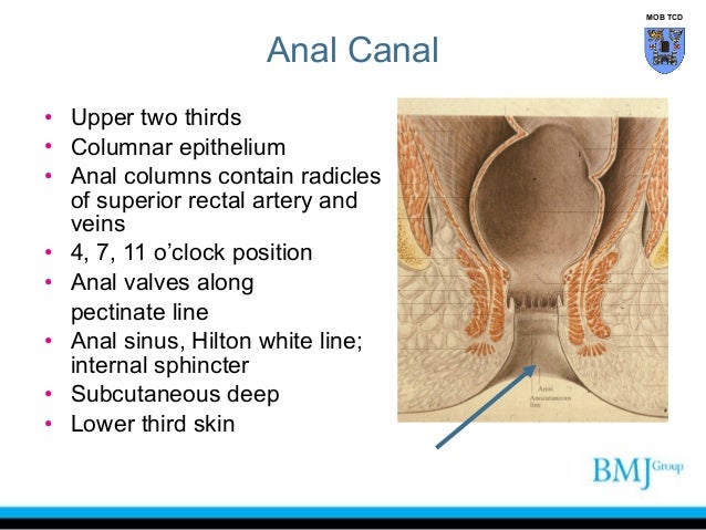 is canal the deep How anal