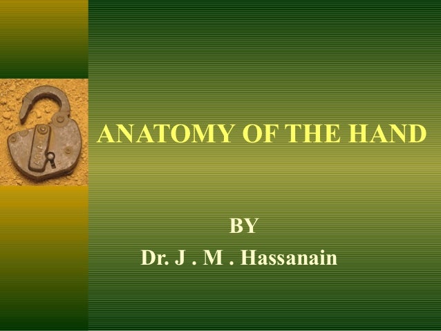 clinical anatomy of hand ppt