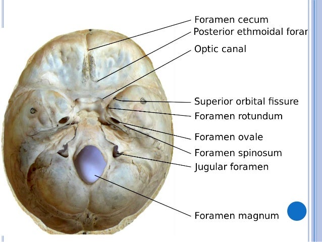 YolondahtyuiStachtyu