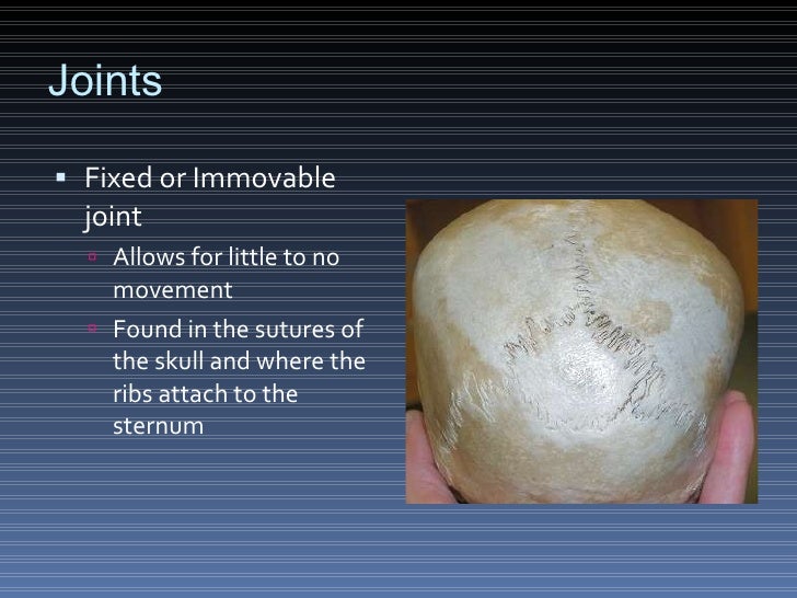 Science Olympiad Anatomy
