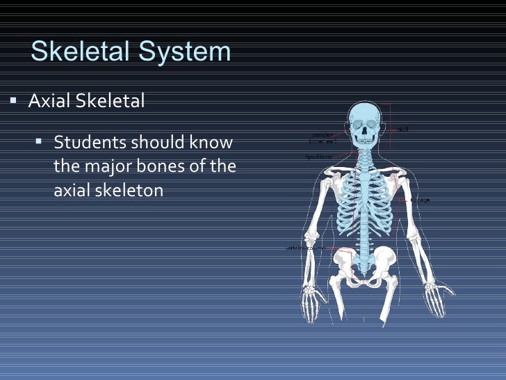 Science Olympiad Anatomy