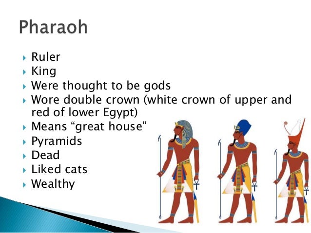 Ancient Egypt And Kush Review Ancient Egypt And Kush Review