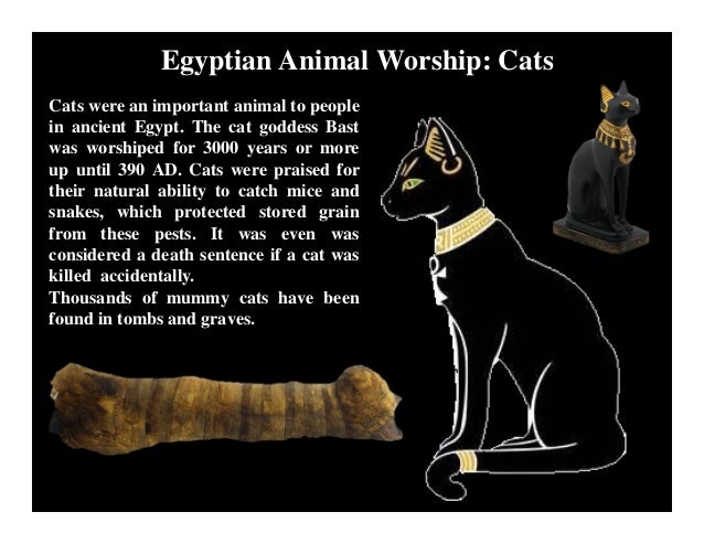 Egypt Cat God Big Egypt Cat God Big