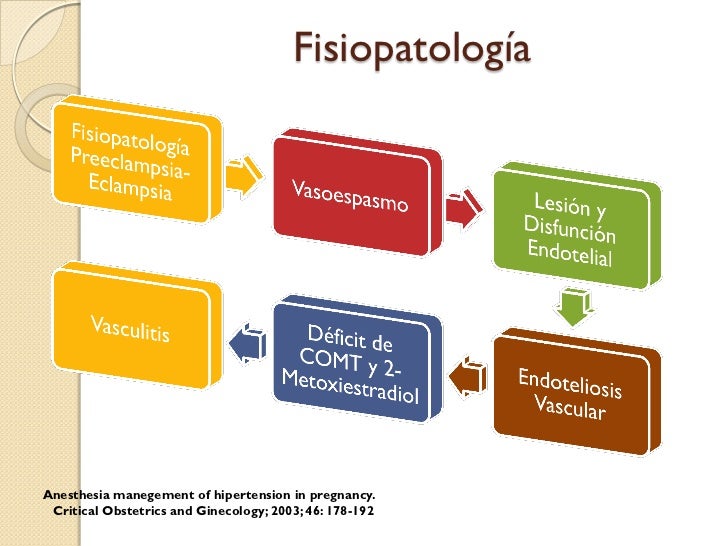 HIPERTENSION ARTERIAL: HIPERTENSION ARTERIAL FISIOPATOLOGIA HIPERTENSION ARTERIAL: HIPERTENSION ARTERIAL FISIOPATOLOGIA