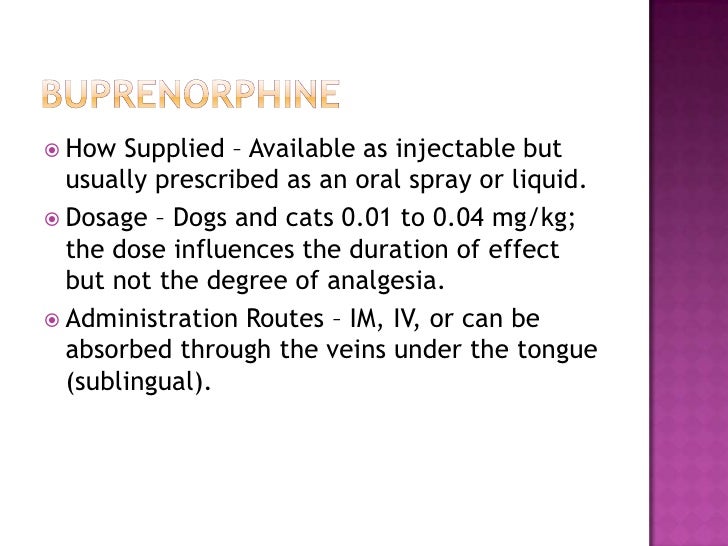 buprenex for dogs anesthetic drugs buprenex for dogs anesthetic drugs
