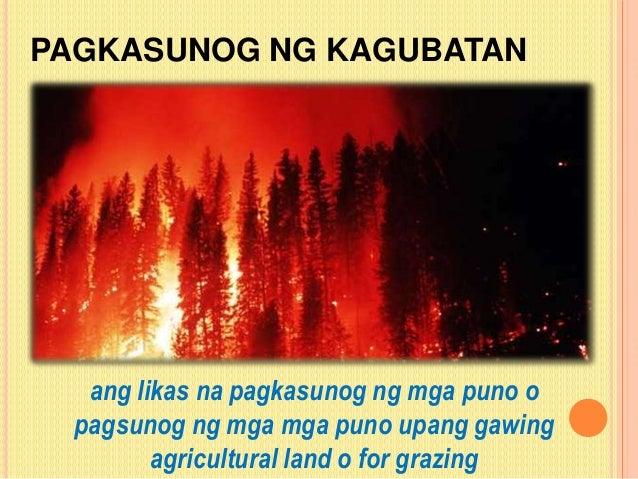 kaingin epekto sakaliasan kaingin epekto sakaliasan