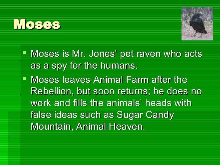 Animal Farm Characters animal-farm-characters