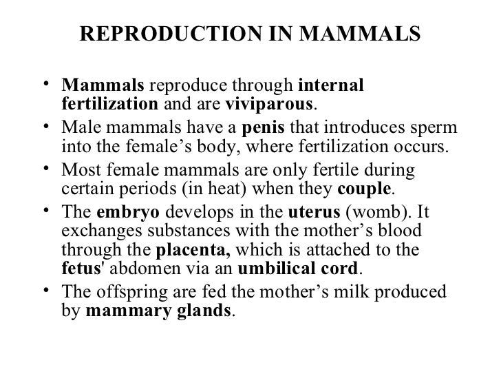 mammalian reproduction Epipubic bones, a feature that strongly influenced the reproduction of most mammal clades, are first found in tritylodontidae. mammalian reproduction Epipubic bones, a feature that strongly influenced the reproduction of most mammal clades, are first found in tritylodontidae.